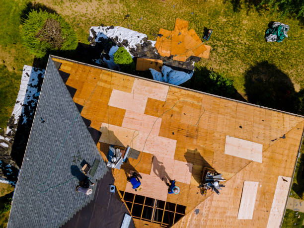 Best Roof Leak Repair  in Fairlea, WV