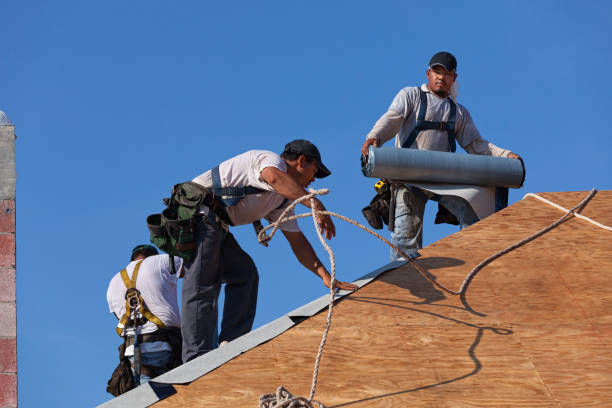 Best Roof Maintenance Services  in Fairlea, WV